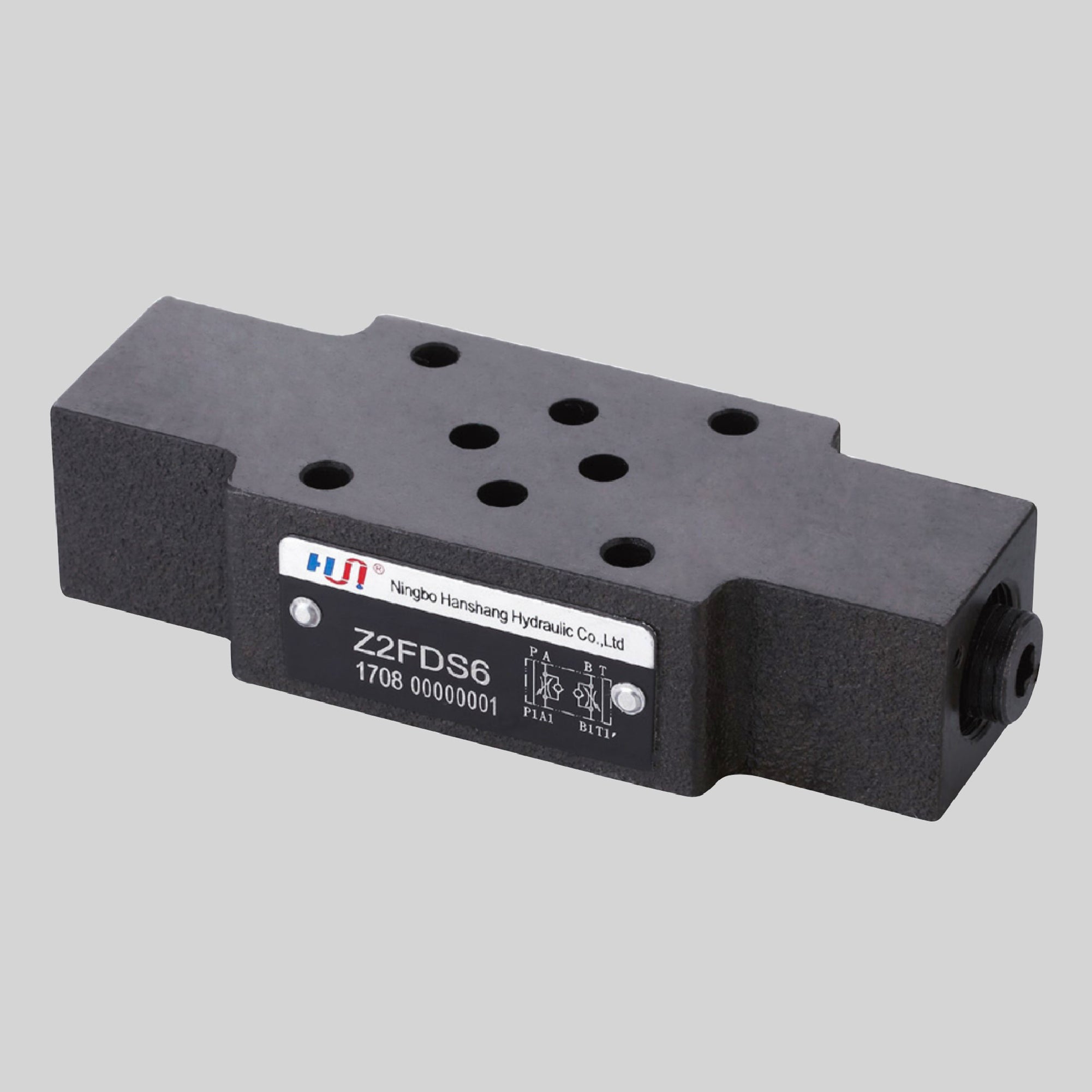 CHECK VALVES – Hanshang Hydraulic US