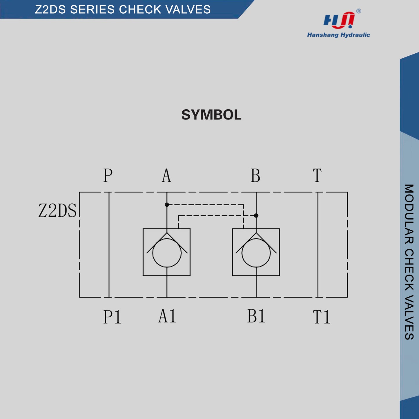 VÁLVULAS DE RETENCIÓN Z2DS6